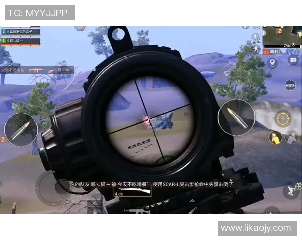 和平精英焦点FPX灵活性分析及其对战术策略的影响探讨